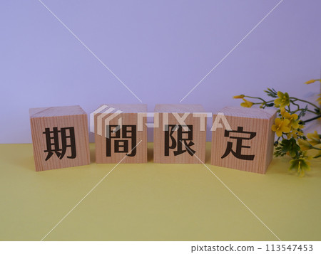 Limited time eye-catching image 113547453