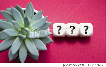 Question marks symbol. Concept words question mark on wooden cube. Beautiful red background with succulent plant. Business and question mark. Copy space. Question marks symbol. Concept words question mark on wooden cube. Beautiful red background with succulent plant. Business and question mark. Copy space. 113547677