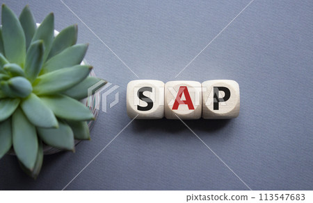 SAP - Systems Applications Products. Wooden cubes with word SAP. Beautiful grey background with succulent plant. Business and System Application Product concept. Copy space. SAP - Systems Applications Products. Wooden cubes with word SAP. Beautiful grey background with succulent plant. Business and System Application Product concept. Copy space. 113547683