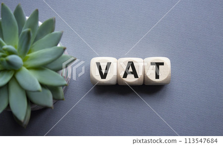 VAT - Value Added Tax symbol. Wooden cubes with word VAT. Beautiful grey background with succulent plant. Business and Value Added Tax concept. Copy space. VAT - Value Added Tax symbol. Wooden cubes with word VAT. Beautiful grey background with succulent plant. Business and Value Added Tax concept. Copy space. 113547684