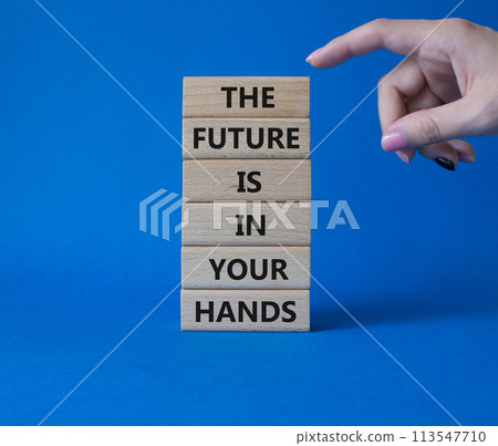 The Future is in your Hands symbol. Concept words The Future is in your Hands on wooden blocks. Beautiful blue background. Businessman hand. Business concept. Copy space. 113547710