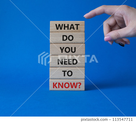 What do You need to Know symbol. Wooden blocks with words What do You need to Know. Beautiful blue background. Businessman hand. Business and What do You need to Know. Copy space. 113547711