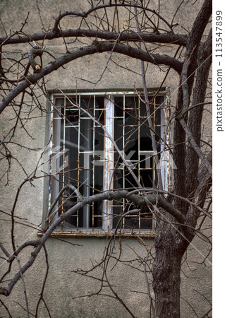 Window with broken glass and tree with bare branches Window with broken glass and tree with bare branches 113547899
