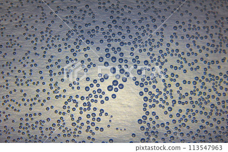 Harmonic backgrounds. Air bubbles in water (bleb) on bright, smooth surface 113547963