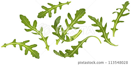 Rucola leaves, falling arugula salad isolated on white background with clipping path 113548028