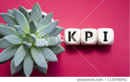 KPI- Key Performance Indicator. Wooden cubes with word KPI. Beautiful red background with succulent plant. Business and Key Performance Indicator concept. Copy space. 113548042