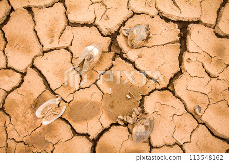 sea drought change of  climate heat water 113548162