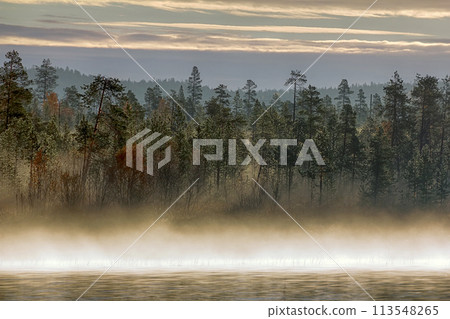 Gorgeous autumn landscape with river and misty forest Gorgeous autumn landscape with river and misty forest 113548265