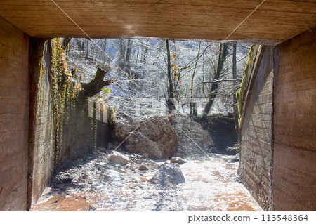 Exit underground tunnel. View of snow melt on tree Exit underground tunnel. View of snow melt on tree 113548364