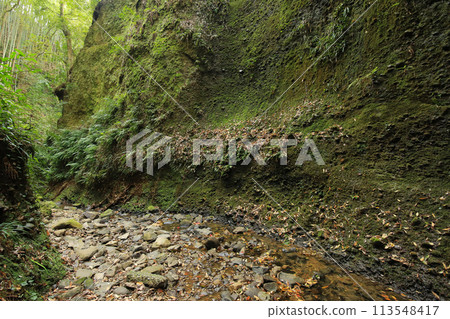 Scenery of Iokido Cave, Aki City, Kochi Prefecture 113548417