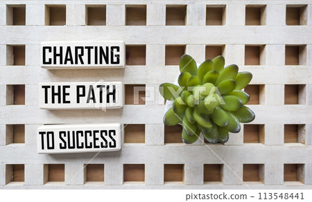Outlining the path to success, message on wooden blocks and vintage background  113548441
