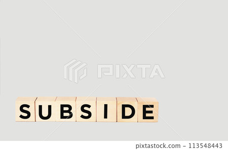 Concept of The wooden Cubes with the word Subsidy on wooden background. 113548443