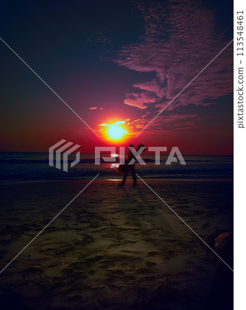 Tropical sunset, quiet, warm evening, people silhouettes Tropical sunset, quiet, warm evening, people silhouettes 113548461