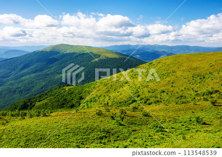 rolling landscape of carpathian mountains in evening light. mountainous scenery of transcarpathia, ukraine in summer. view from the hillside of smooth or runa mnt. rolling landscape of carpathian mountains in evening light. mountainous scenery of transcarpathia, ukraine in summer. view from the hillside of smooth or runa mnt. 113548539