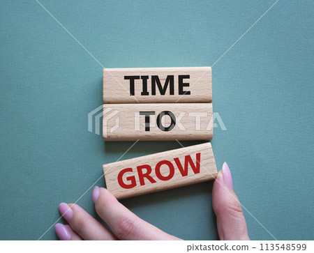 Time to Grow symbol. Concept word Time to Grow on wooden blocks. Businessman hand. Beautiful grey green background. Business and Time to Grow concept. Copy space Time to Grow symbol. Concept word Time to Grow on wooden blocks. Businessman hand. Beautiful grey green background. Business and Time to Grow concept. Copy space 113548599