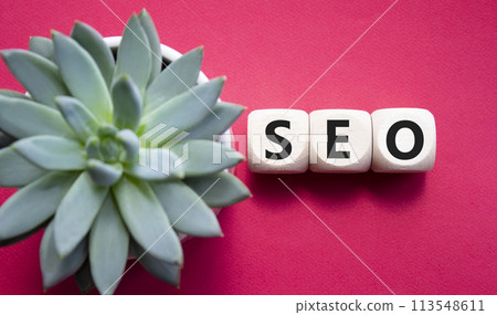 SEO - Search Engine Optimization symbol. Wooden blocks with words SEO. Beautiful red background with succulent plant. Business and SEO concept. Copy space. SEO - Search Engine Optimization symbol. Wooden blocks with words SEO. Beautiful red background with succulent plant. Business and SEO concept. Copy space. 113548611