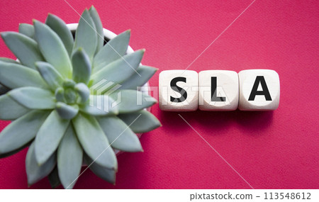SLA - Service Level Agreement. Wooden cubes with word SLA. Beautiful red background with succulent plant. Business and Service Level Agreement concept. Copy space. SLA - Service Level Agreement. Wooden cubes with word SLA. Beautiful red background with succulent plant. Business and Service Level Agreement concept. Copy space. 113548612