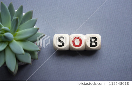 SOB - Shortness of breath symbol. Wooden cubes with words SOB. Beautiful grey background with succulent plant. Medical and SOB concept. Copy space. SOB - Shortness of breath symbol. Wooden cubes with words SOB. Beautiful grey background with succulent plant. Medical and SOB concept. Copy space. 113548618