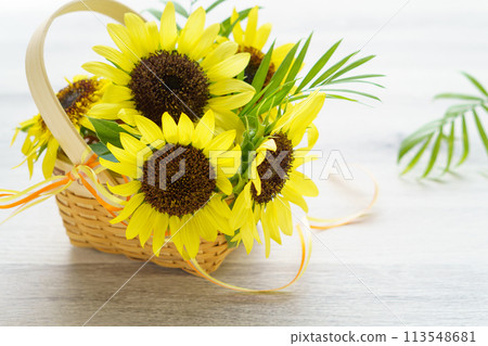 Flower basket with sunflowers and palm leaves Flower basket with sunflowers and palm leaves 113548681