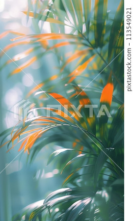 Blurry Plant With Orange Leaves Blurry Plant With Orange Leaves 113549021