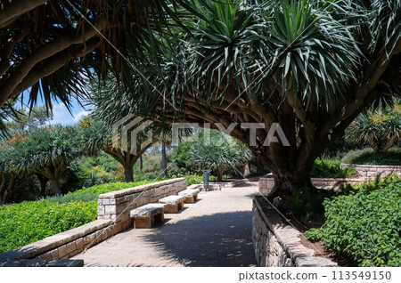 Park Ramat Hanadiv, Memorial Gardens of Baron Edmond de Rothschild, Zichron Yaakov, Israel 113549150