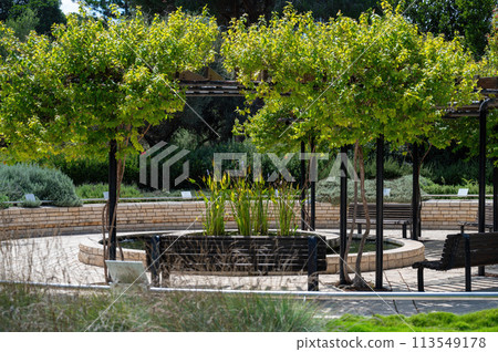 Park Ramat Hanadiv, Memorial Gardens of Baron Edmond de Rothschild, Zichron Yaakov, Israel 113549178