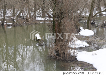 Muddy stream of water in the river. Bushes and trees are covered with snow. Early spring 113549343