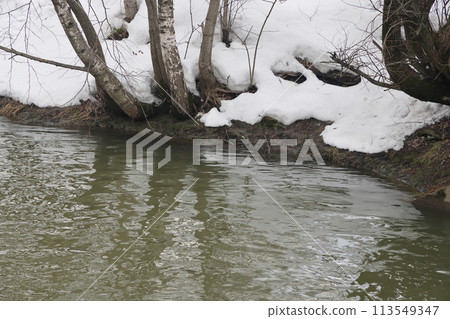 Muddy stream of water in the river. Bushes and trees are covered with snow. Early spring Muddy stream of water in the river. Bushes and trees are covered with snow. Early spring 113549347