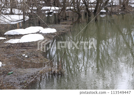 Muddy stream of water in the river. Bushes and trees are covered with snow. Early spring Muddy stream of water in the river. Bushes and trees are covered with snow. Early spring 113549447