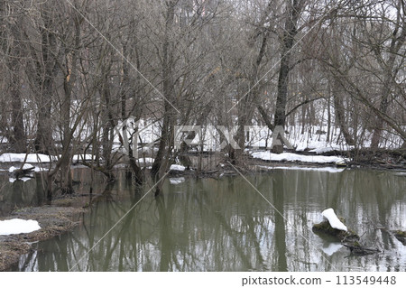 Muddy stream of water in the river. Bushes and trees are covered with snow. Early spring 113549448