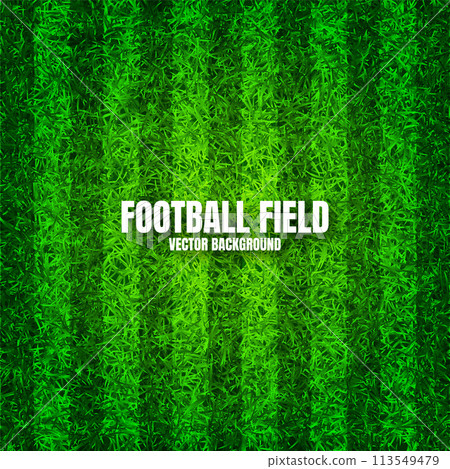 Soccer playing field with green grass. Football pitch background with stripes. Sports ground, stadium with fake or natural grass. Vector illustration Soccer playing field with green grass. Football pitch background with stripes. Sports ground, stadium with fake or natural grass. Vector illustration 113549479
