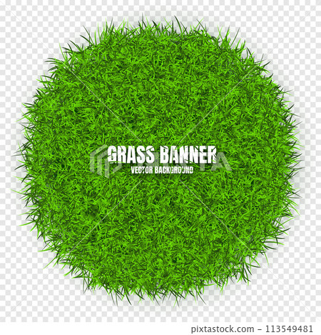 Green grass banners, background. Field, meadow texture, grassy landscape. Organic, bio, eco and natural lifestyle design elements. Ecology and environment protection. Vector illustration Green grass banners, background. Field, meadow texture, grassy landscape. Organic, bio, eco and natural lifestyle design elements. Ecology and environment protection. Vector illustration 113549481