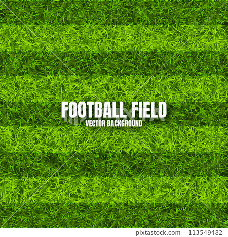 Soccer playing field with green grass. Football pitch background with stripes. Sports ground, stadium with fake or natural grass. Vector illustration Soccer playing field with green grass. Football pitch background with stripes. Sports ground, stadium with fake or natural grass. Vector illustration 113549482