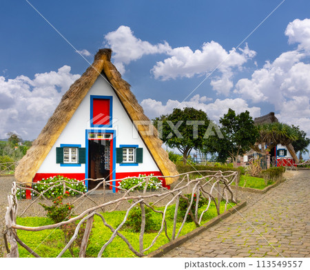 Traditional hut houses and garden of Madeira in village Santana. Sunny day in Portugal, tourist destination 113549557