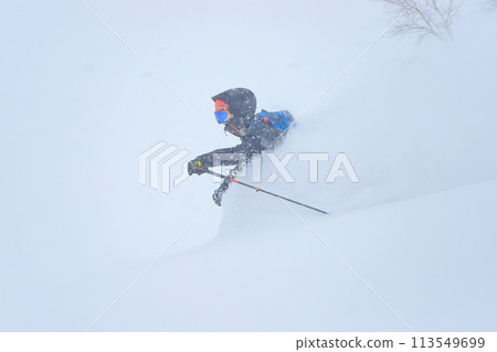 野外滑雪 113549699