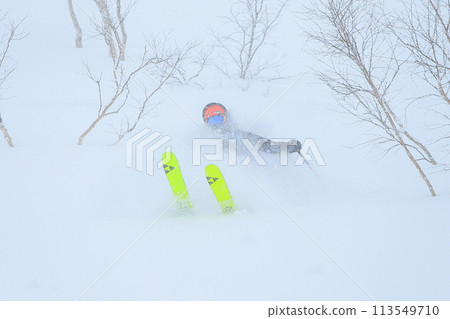 野外滑雪 野外滑雪 113549710