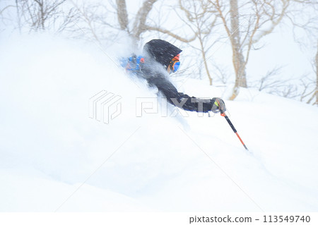野外滑雪 113549740