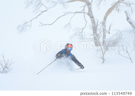 野外滑雪 野外滑雪 113549749