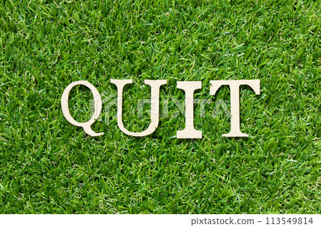 Wood letter in word quit on green grass background 113549814