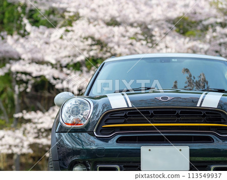Cherry blossoms and imported cars Cherry blossoms and imported cars 113549937