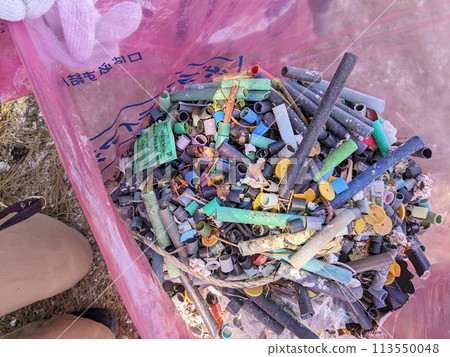Cleaning up huge amounts of plastic waste on the beach Cleaning up huge amounts of plastic waste on the beach 113550048