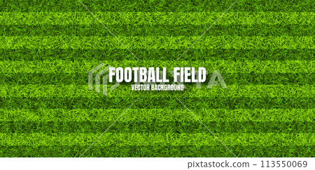 Soccer playing field with green grass. Football pitch background with stripes. Sports ground, stadium with fake or natural grass. Vector illustration Soccer playing field with green grass. Football pitch background with stripes. Sports ground, stadium with fake or natural grass. Vector illustration 113550069
