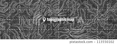 Topographic map with contour lines. Geographic terrain grid, relief height elevation. Ground path pattern. Travel and navigation, cartography design element. Vector illustration 113550102