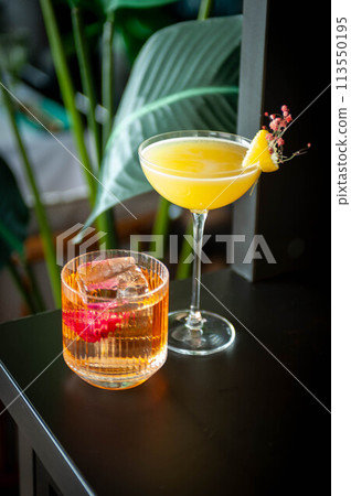 Two refreshing summer cocktails with lemon, mint, cranberry on a table Two refreshing summer cocktails with lemon, mint, cranberry on a table 113550195