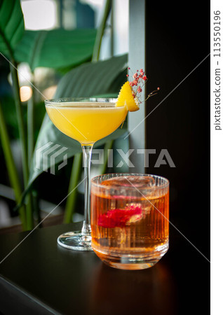 Two refreshing summer cocktails with lemon, mint, cranberry on a table Two refreshing summer cocktails with lemon, mint, cranberry on a table 113550196