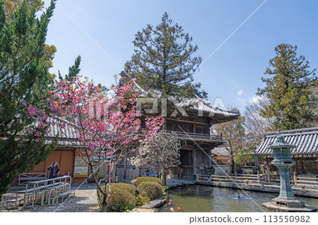 [第一寺院]泉神山寺院[四國88寺院] 113550982