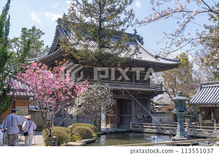 [Temple No. 1] Reisanji Temple in Spring [Shikoku 88 Temples] 113551037