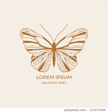 Minimalistic Butterfly Line Art Sign Minimalistic Butterfly Line Art Sign 113551484