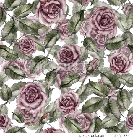 Seamless floral pattern of pink powder roses as watercolor illustration in vintage style for wedding, birthday, valentine's day, mother's day, textile, bedding, packaging, scrapbooking, wrapping, card 113551874