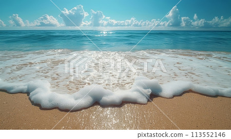 Waves Rolling Onto Sandy Beach 113552146